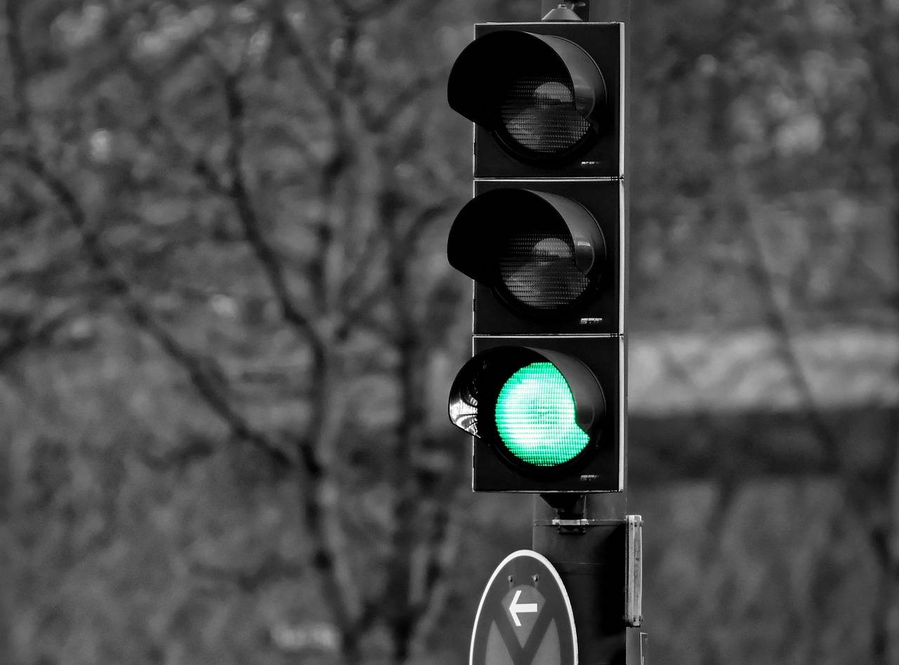 Kto wydaje zezwolenie na wycinkę drzew w Polsce?